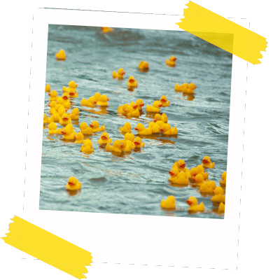 Duck Racing