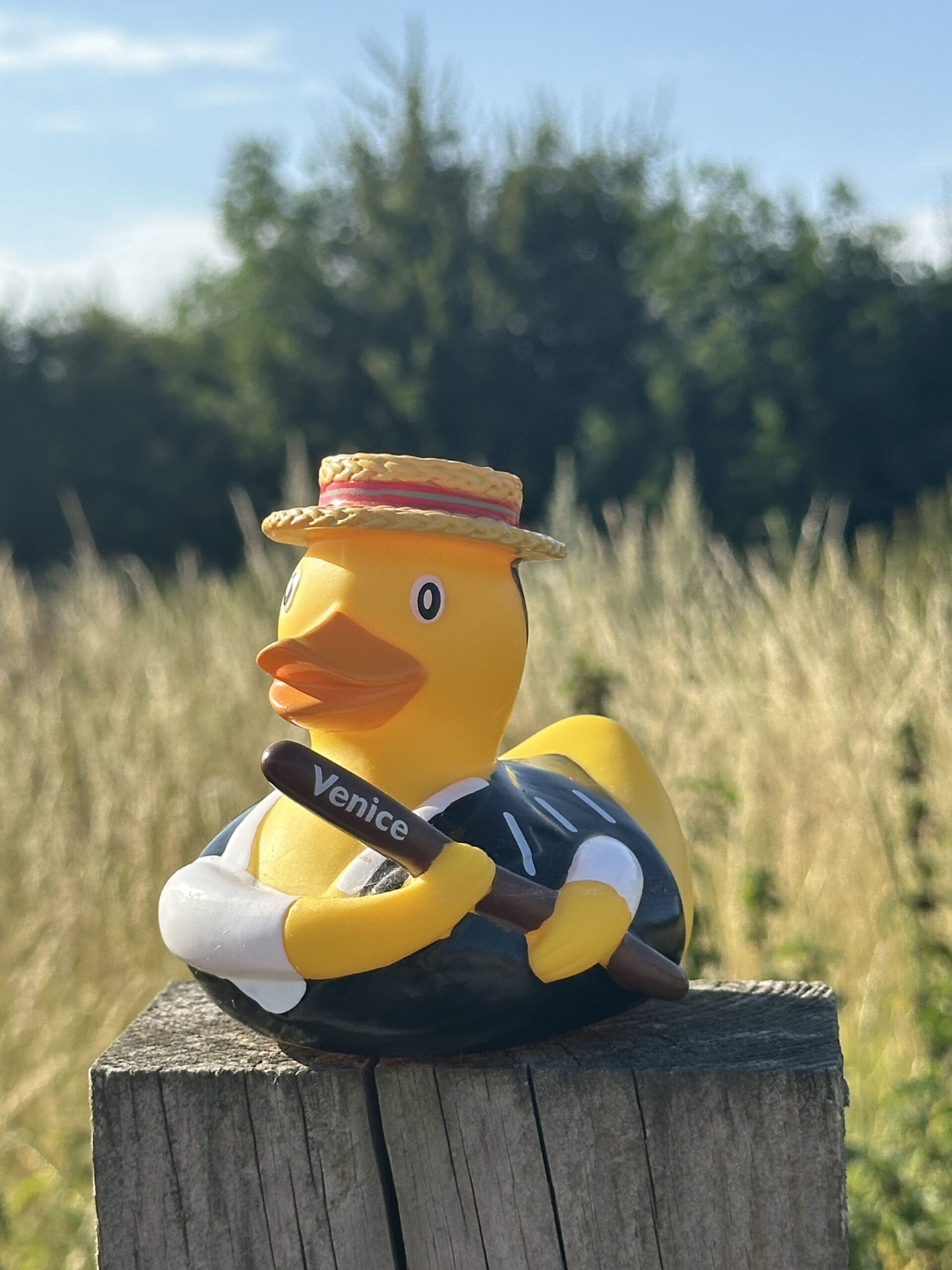 Venice Custom Duck scaled