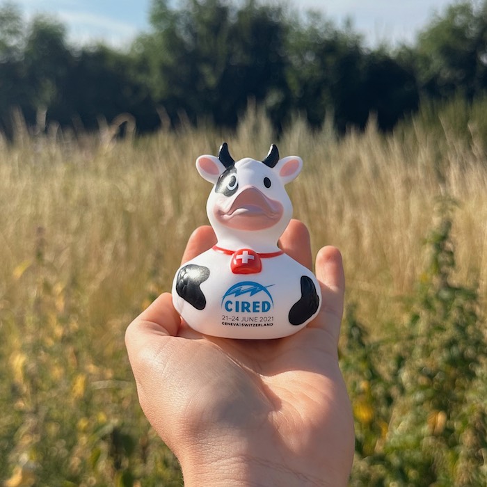 printed custom cow duck