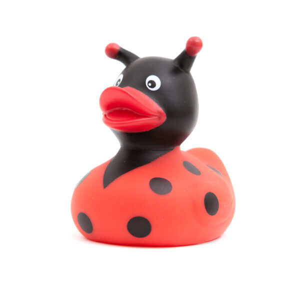 Ladybird Rubber Duck