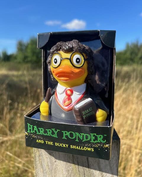 Collectible Duck Category