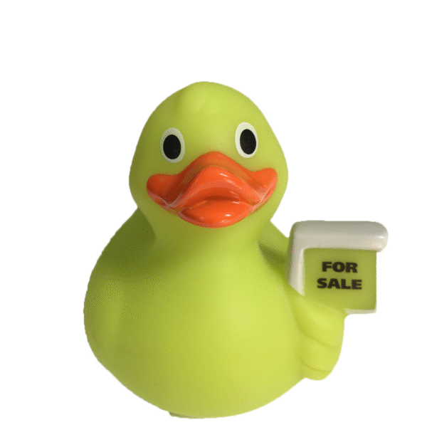 For Sale Rubber Duck