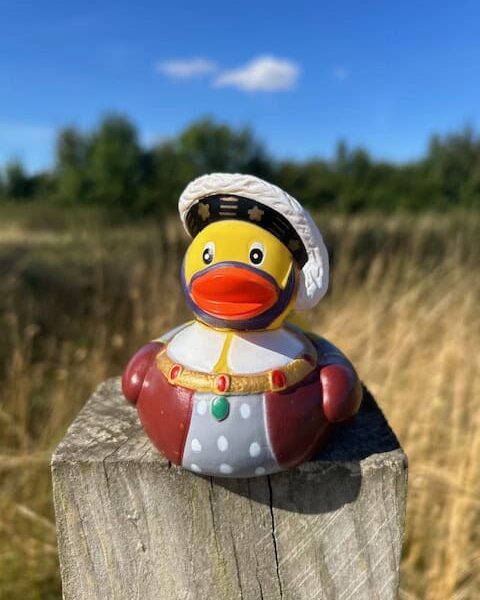 History Duck Category