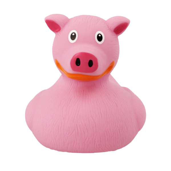 Pig Rubber Duck
