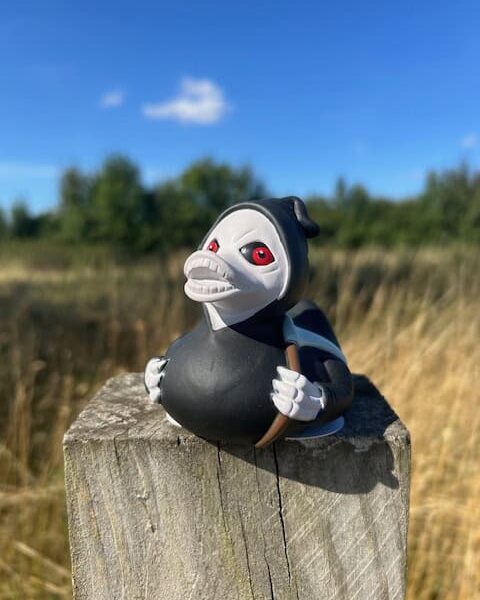 Out Of This World Ducks