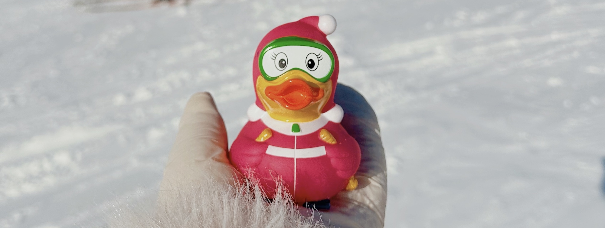 Winter rubber ducks