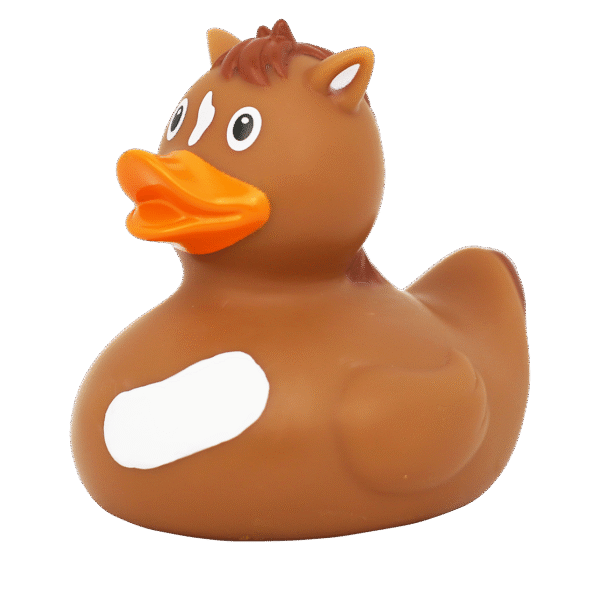 Pony Rubber Duck