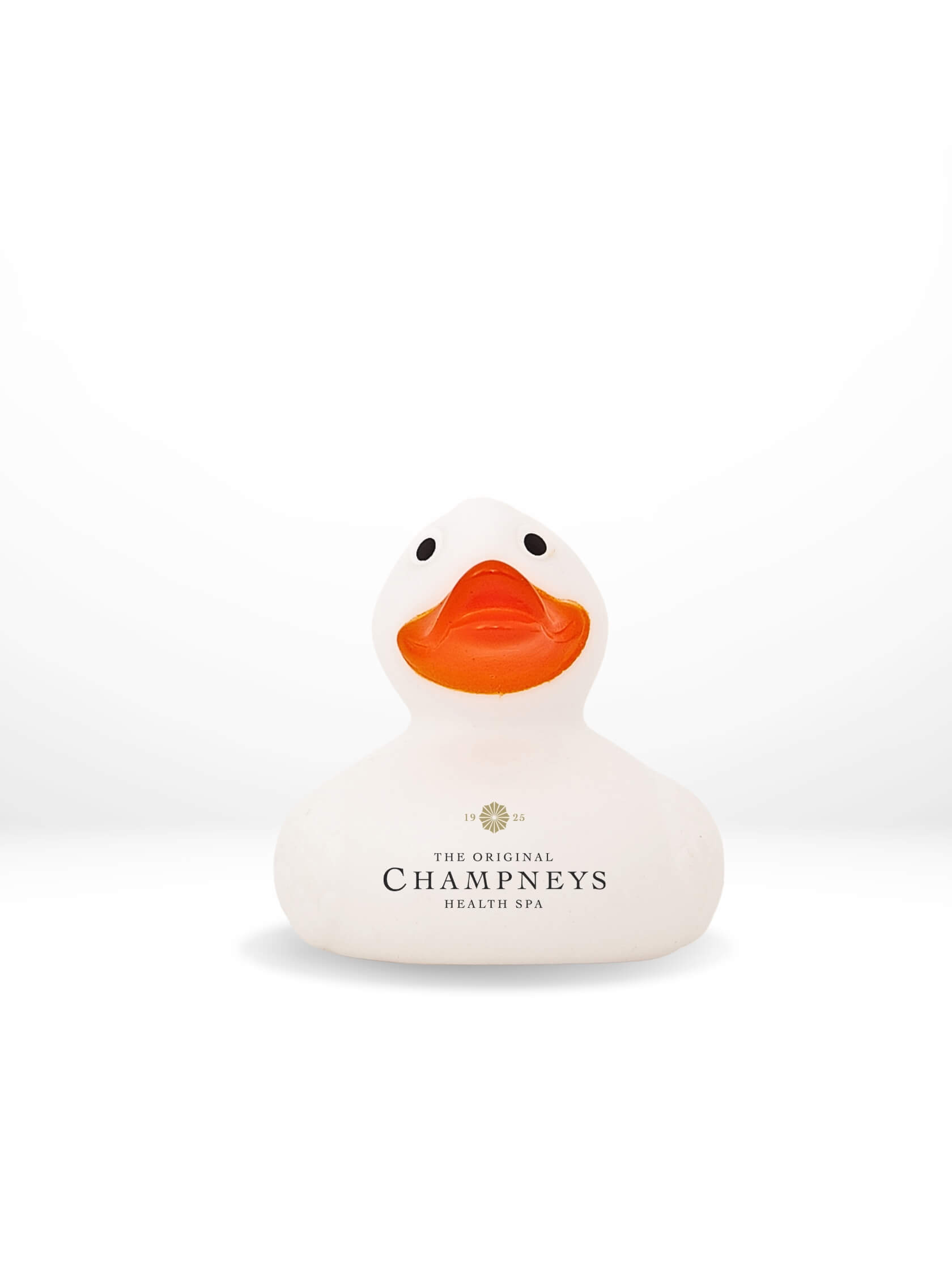 Example Personalised rubber ducks for events