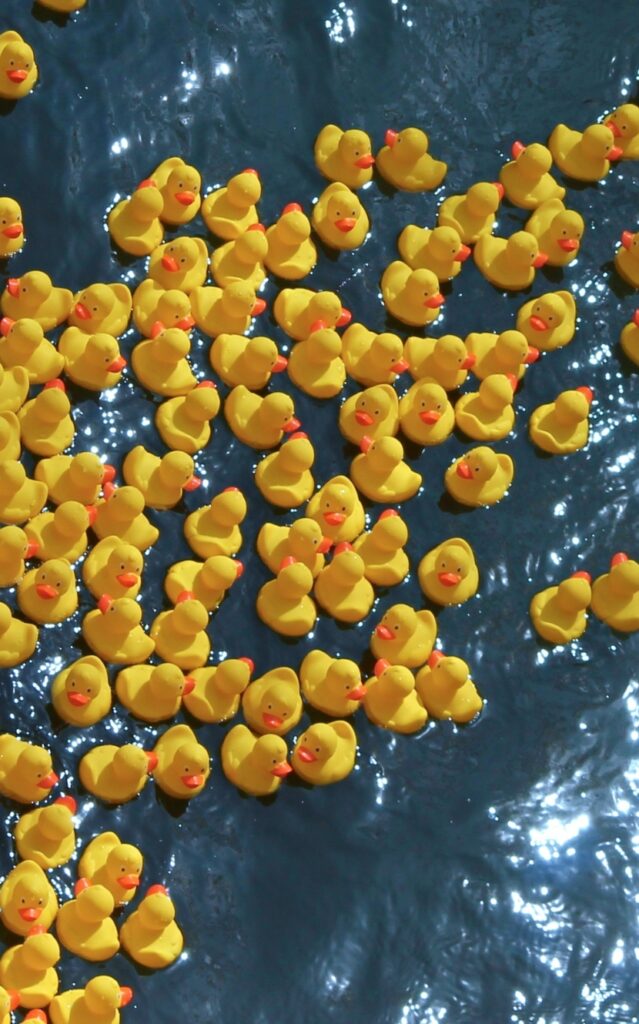 Rubber Duck Racing