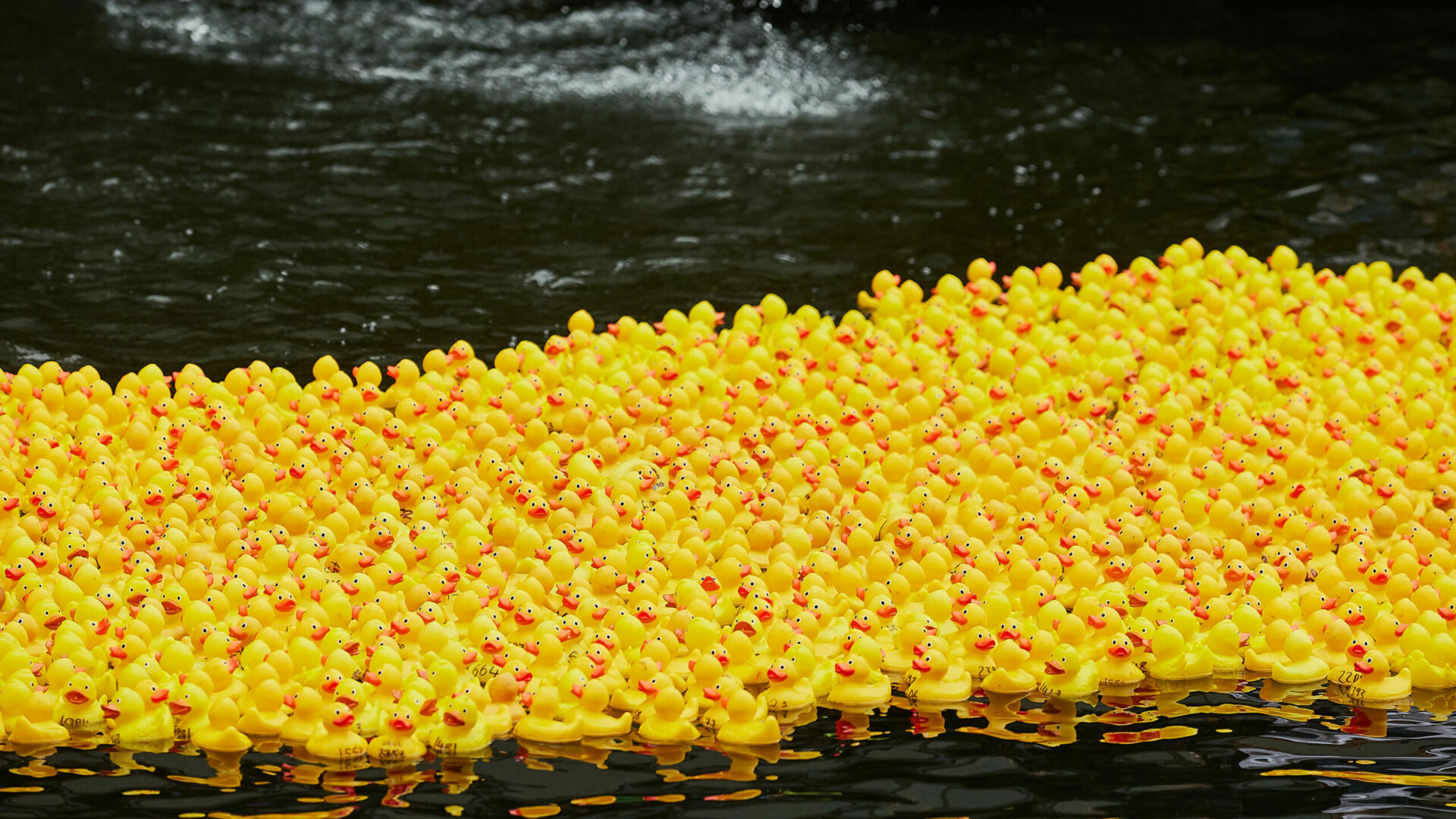 Wartime Rubber Duck Care Package