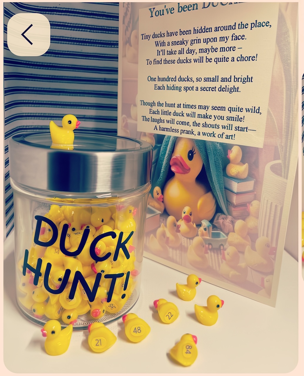 Rubber Duck collectible