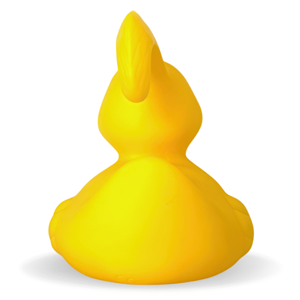 Moulded Hook A Duck Rubber Ducks – 15CM
