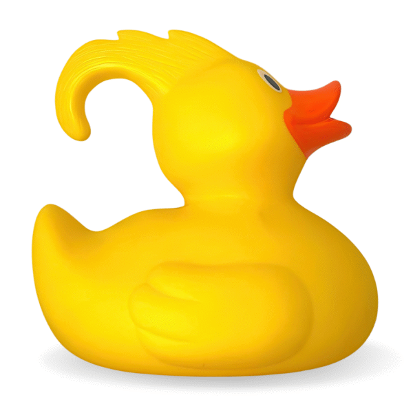 Moulded Hook A Duck Rubber Ducks – 15CM