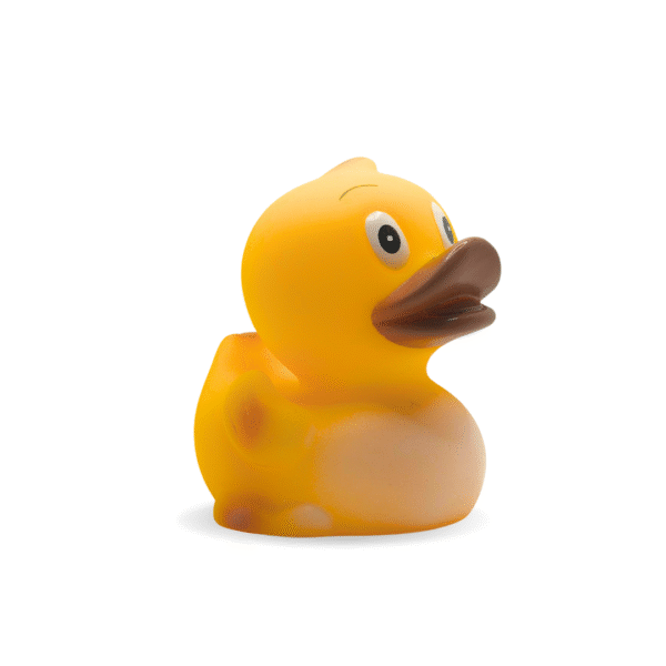 Cute Big Eye Rubber Duck | Unique to JustDucks Cute Big Eye Rubber Duck | Unique to JustDucks